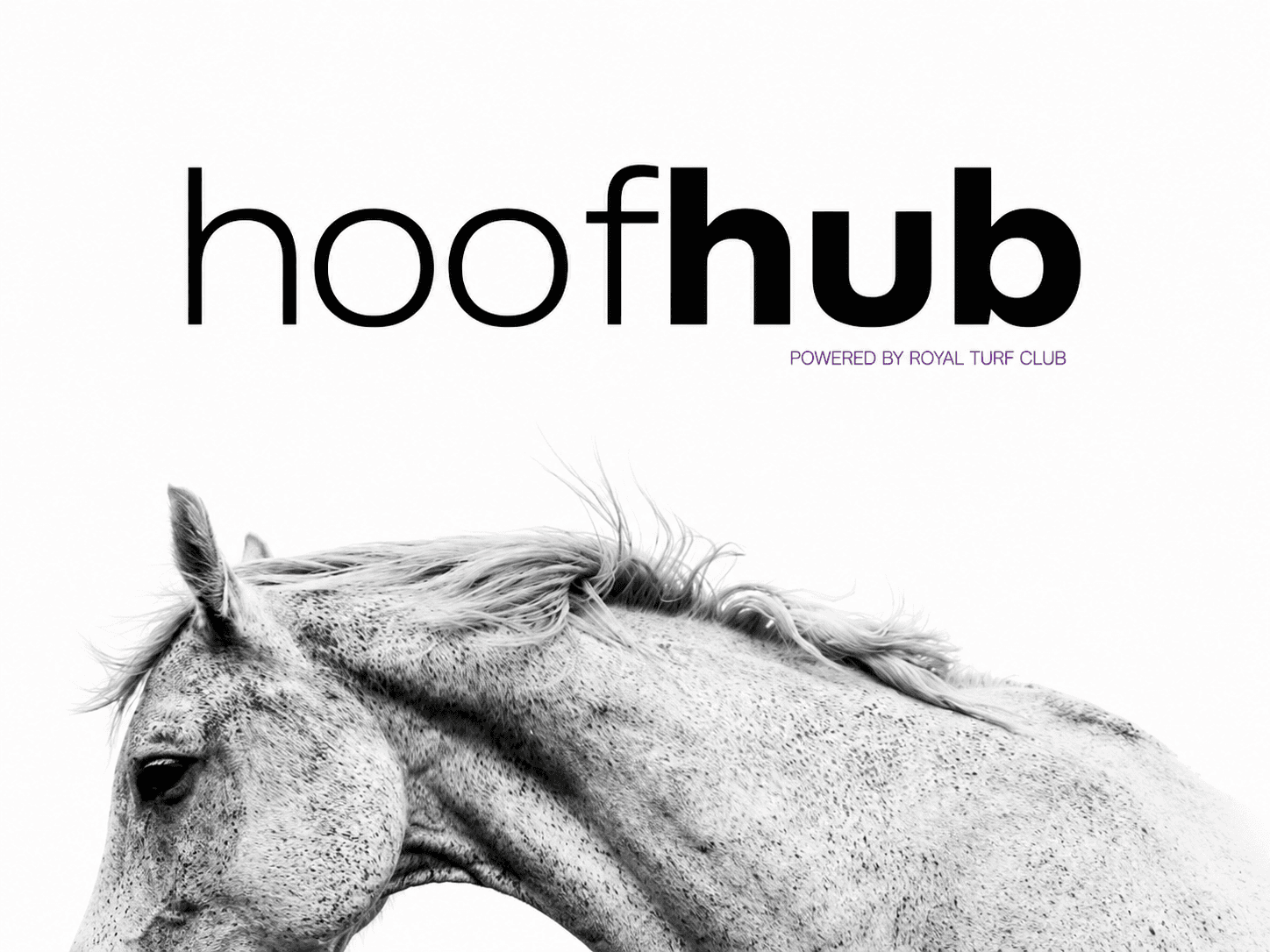 HoofHub — Trust-Based Tourism Ecosystem